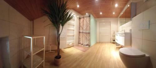 Apartamento Wieshof