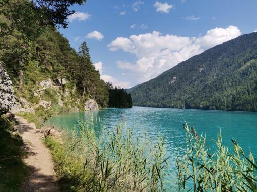 Apartamento Ferienwohnungen Rosi