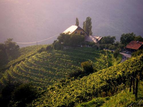 Bed & Breakfast G�stehaus-temmel-kitzeck