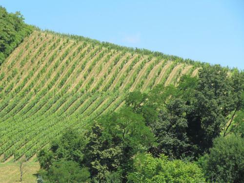 Winzervilla Kl�ch