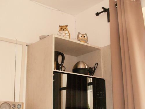 Apartamento Lg Tiny