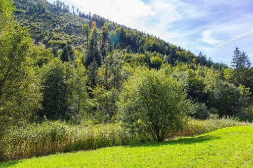 Apartamento Gut Hinterklaus
