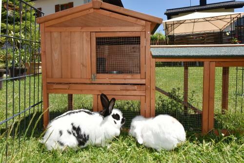Apartamento Landhaus Juritsch