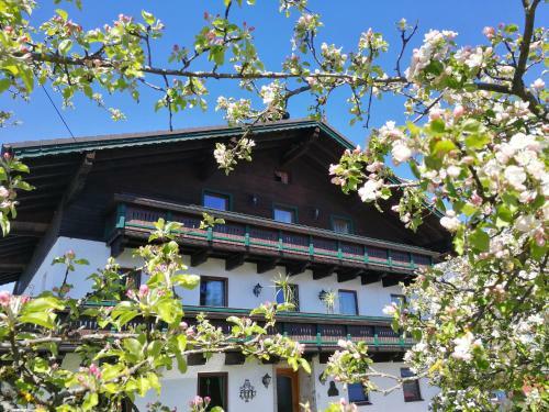 Agroturismo Schusterbauer