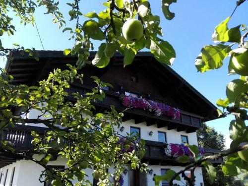 Agroturismo Schusterbauer
