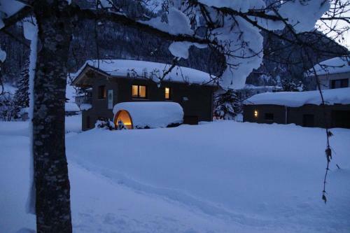 Woodpecker Chalets