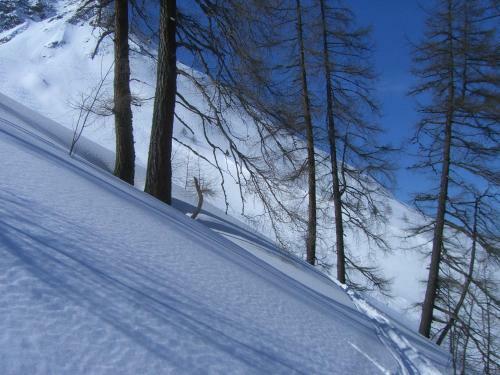 Apartamento Haus Christopherus