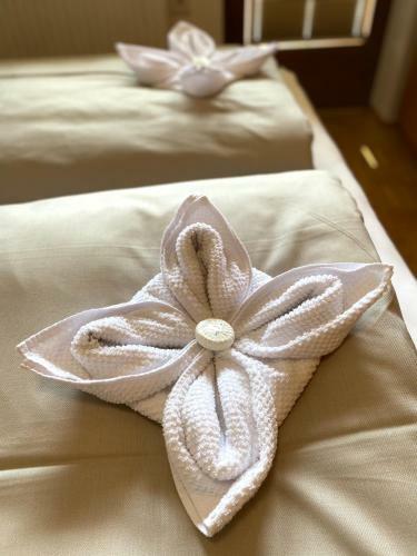 Apartamento Canisiusbr�nnl