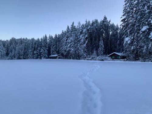 Waldchalet Am Eichhof