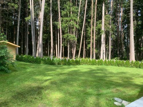 Waldchalet Am Eichhof