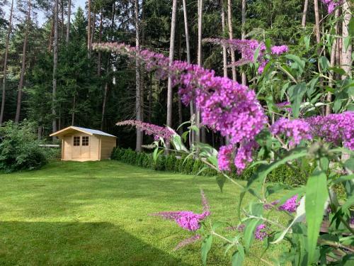 Waldchalet Am Eichhof
