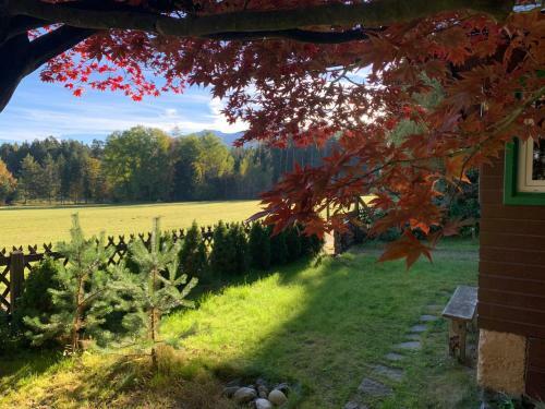 Waldchalet Am Eichhof