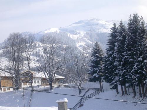 Apartamento G�stehaus Roland