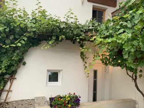 Apartamento S Gasth�usl
