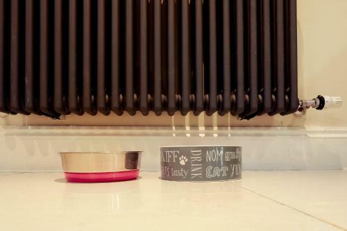 Willow Tree - Dog Friendly, Spacious & Central