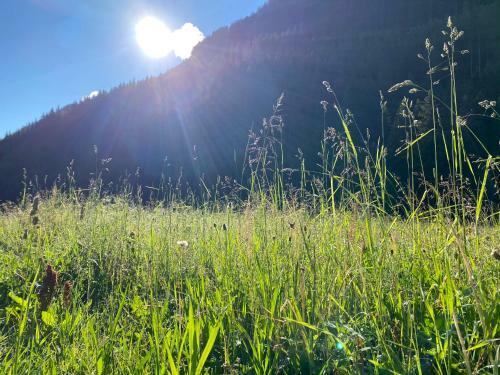 Apartamento Augl?s Hof