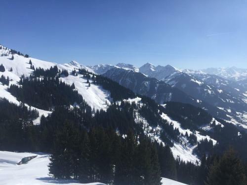 Apartamento K�ssen Dorf41 Top1