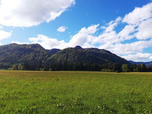 Apartamento Ferienwohnung D�llerer