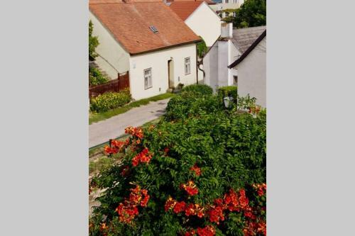 Apartamento Villa Wachtertor