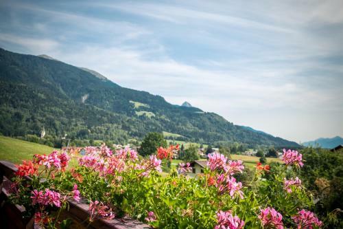 Apartamento Gailtal Panorama