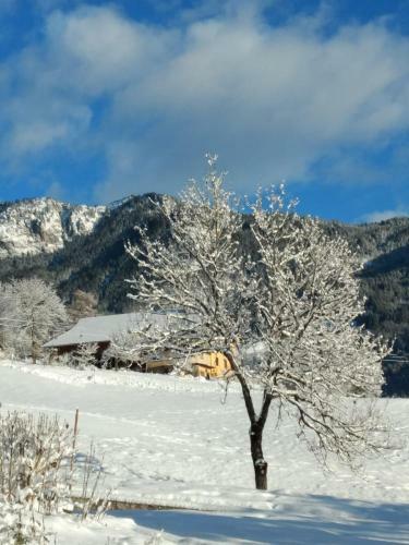 Apartamento Gailtal Panorama