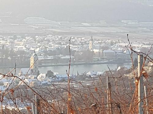 Apartamento Blick �ber Krems Mit Terrasse