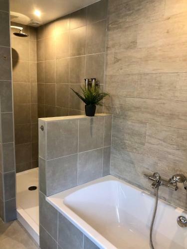 Apartamentos Charta Appartement