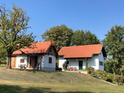Kellerst�ckl Postrumer Weinberg 48