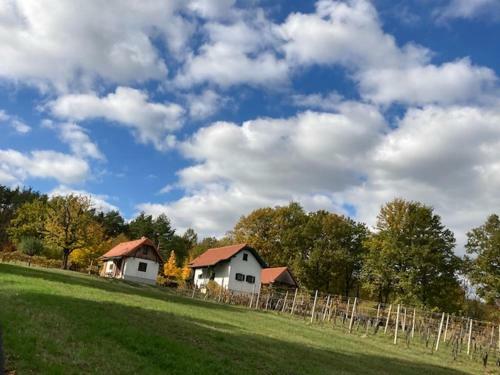 Kellerst�ckl Postrumer Weinberg 49