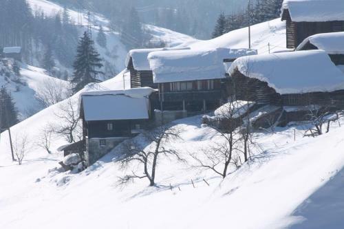 Hostal Garni Montana