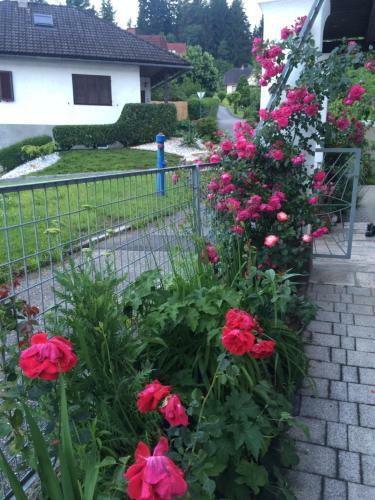Apartamento Villa Nusswald