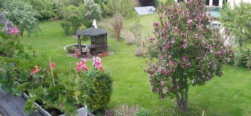 Apartamento Villa Nusswald