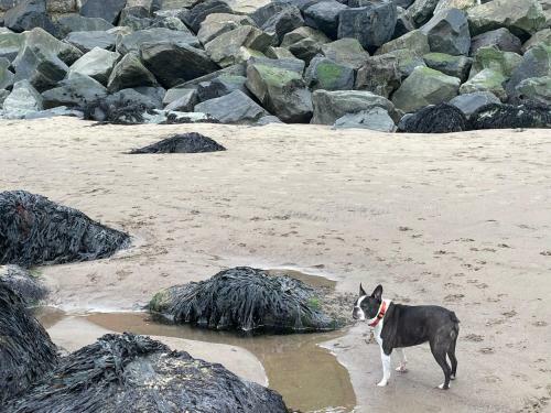 Whitby-captains House Whitby - 4 Bed Luxury Holiday Home