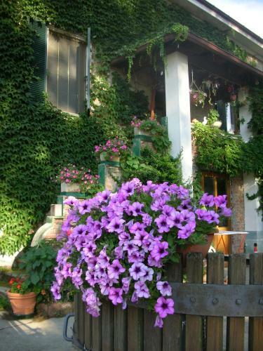 Agroturismo Cascina Beneficio