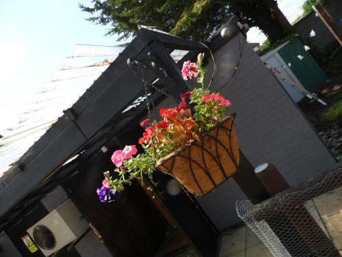Posada The Stag
