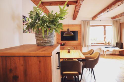 Apartamento Mocking Ferienappartements