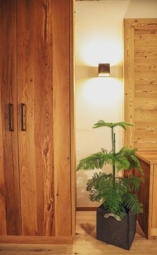Apartamento Mocking Ferienappartements