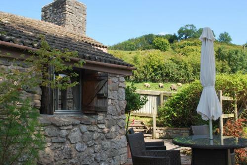 Fenny Castle Vineyard Cottage