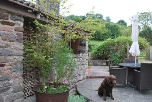 Fenny Castle Vineyard Cottage