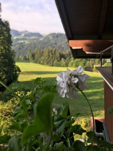Apartamento Hof Oberhaus