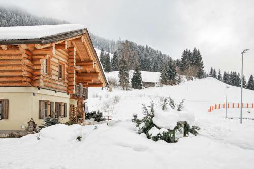 24 Chalet Wildbach Apartment