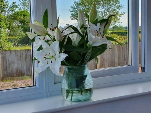 Foxes Field B&B Aston Nantwich