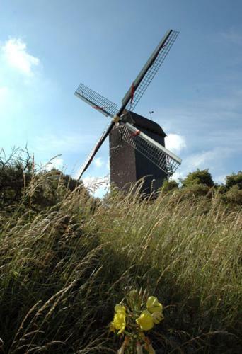 Vakantiehuis Brickx