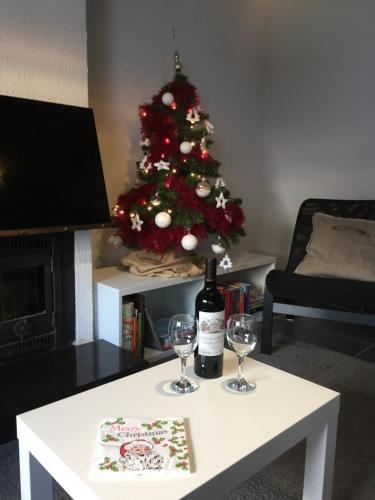 Vakantiehuisje 007