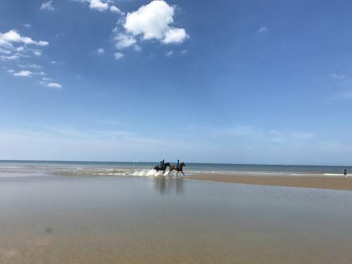 Apartamento Koksijde App Zeelaan B3