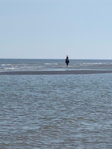 Apartamento Strandwandeling 2 Slaapkamers