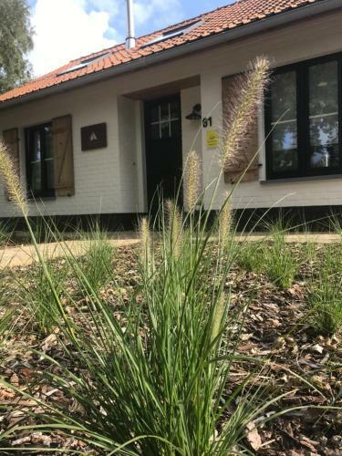 La Maison Du P�cheur Koksijde