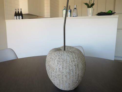Apartamento Penthouse Sparta