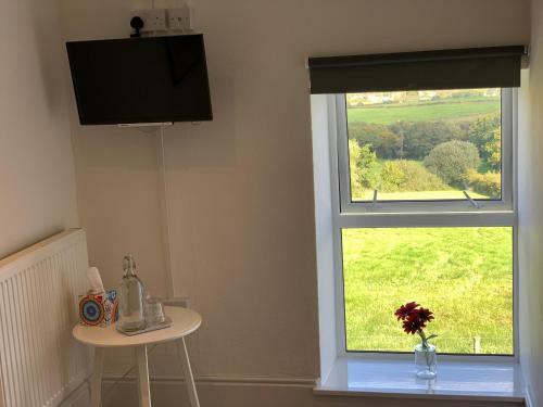 Cwtch Farm Bed & Breakfast
