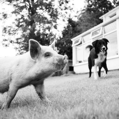 Cwtch Farm Bed & Breakfast